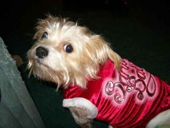 Christmas came early !!! Cuteness overload