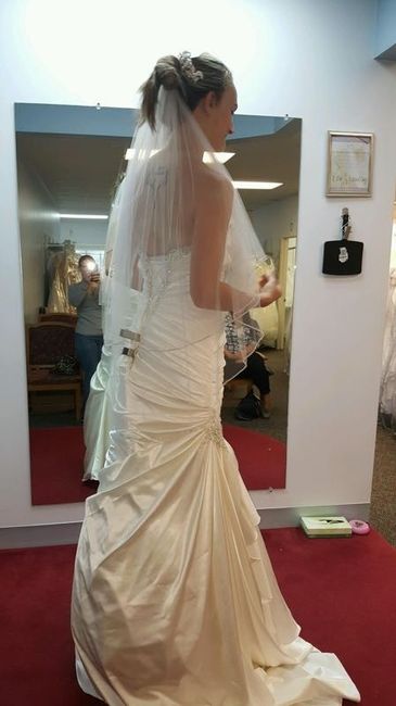Thoughts on THE Dress!!!