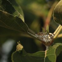 Brides of 2021! Show us your ring! - 2