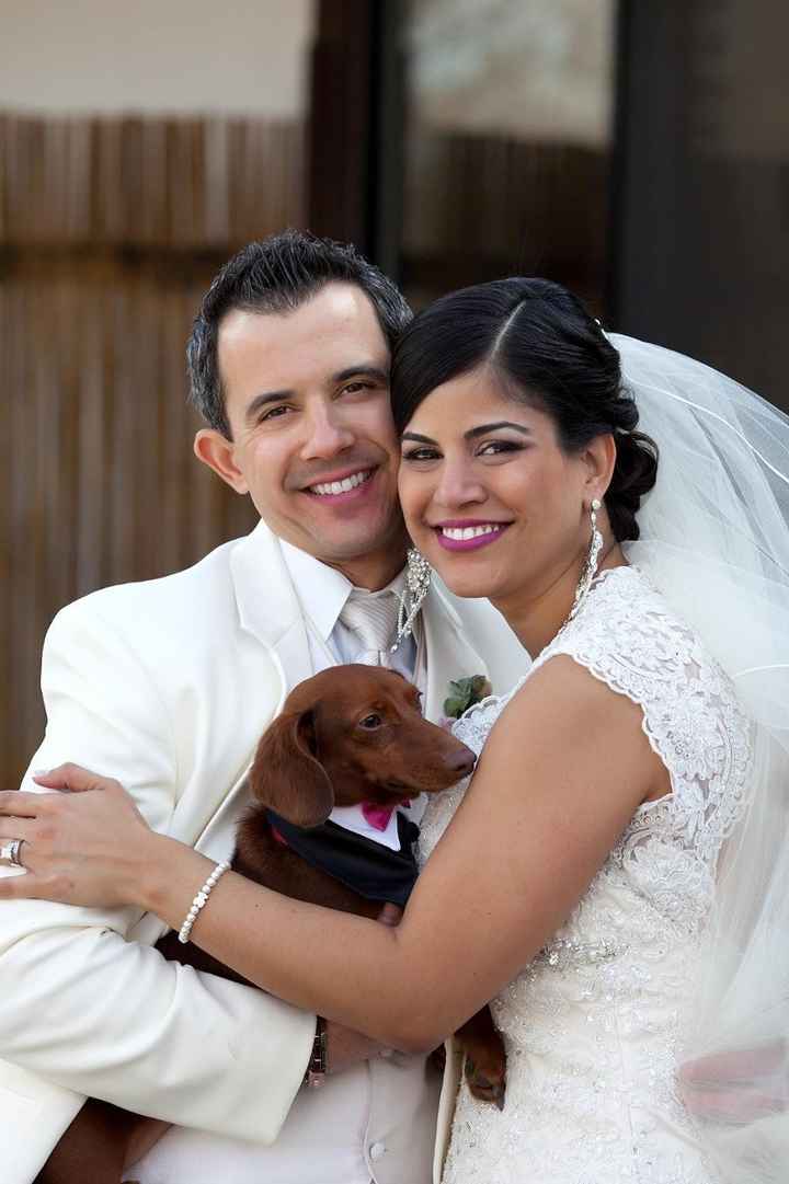 A few wedding pictures and some advice!