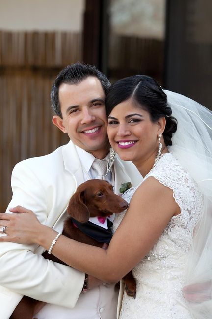 A few wedding pictures and some advice!