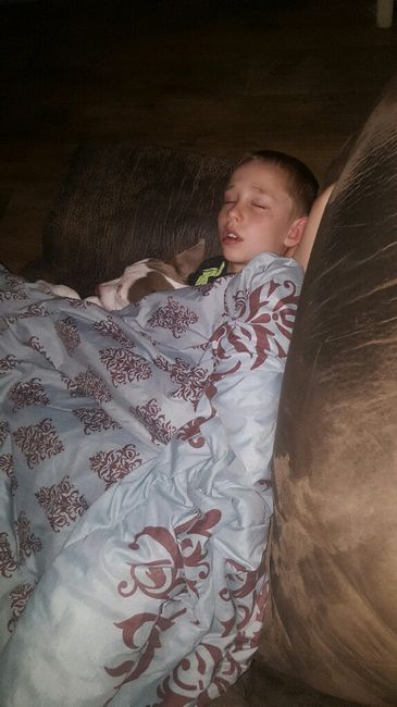 Pet owners! :-) Share your pets - 2