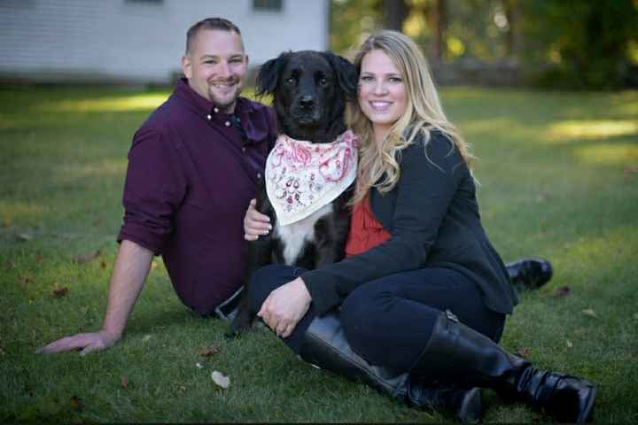 My dogs in my engagement pictures