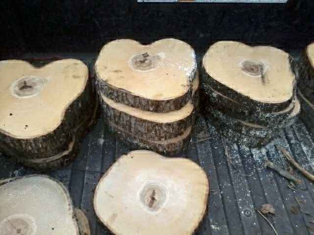 Cheap Tree Slices? Maybe "secondhand?"