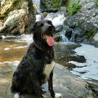 NWR:  Show me your fur babies!