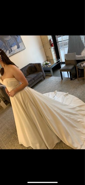 Dress Twins? Wg3979 from David's Bridal or Sofia Toli Kennedy Dress 3