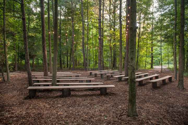 Train or no train - 3