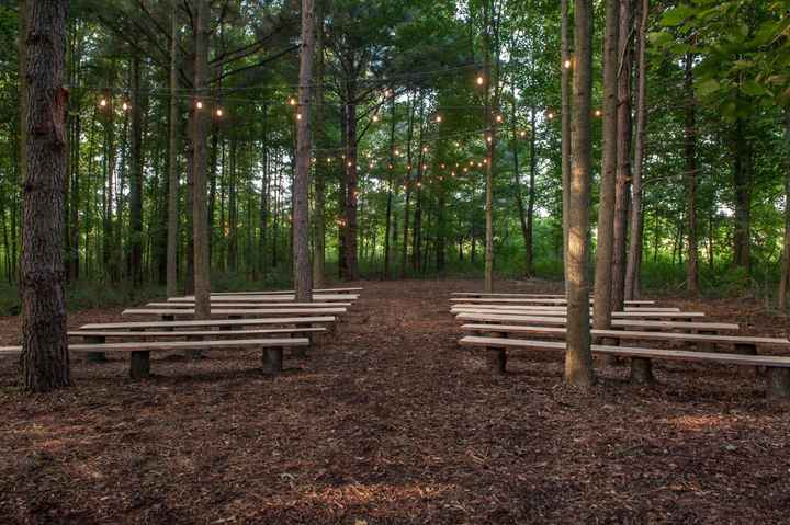 Just feel like hearing everyone’s wedding plans! - 6