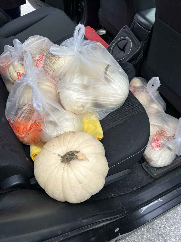 What are/were your wedding colors? - 6