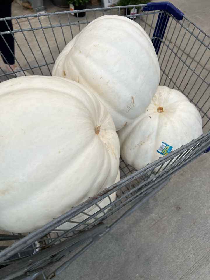 What are/were your wedding colors? - 7