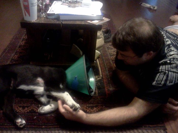 Lets see those puppies that we share with our FHs!