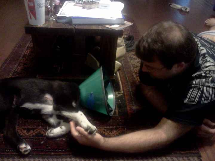 Lets see those puppies that we share with our FHs!