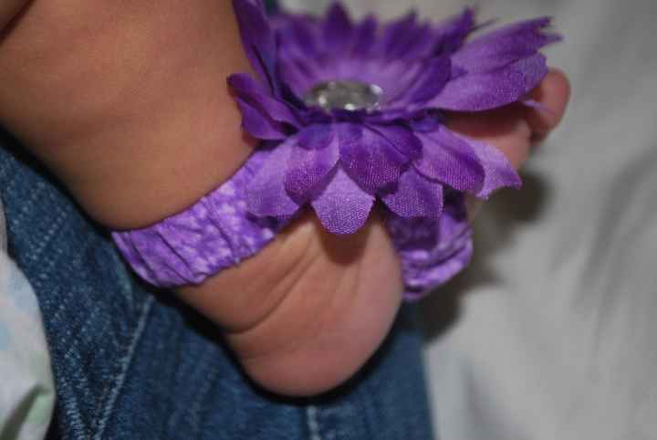 NWR-How much would you pay?