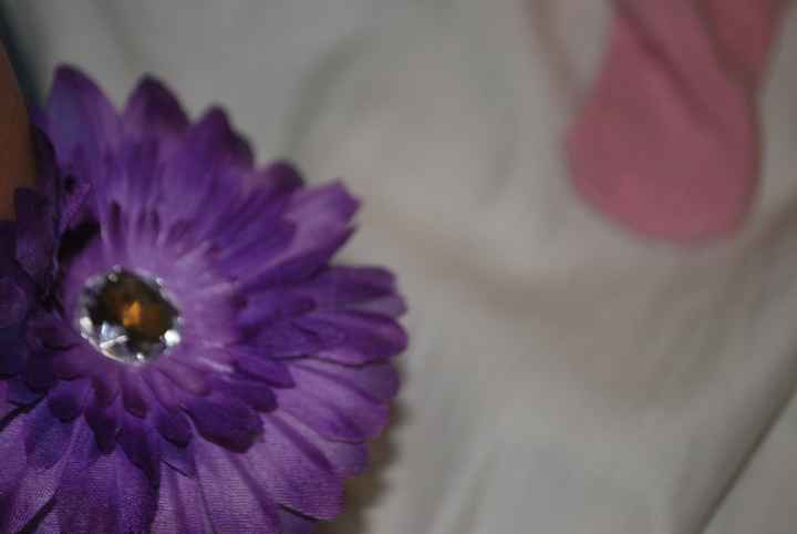 NWR-How much would you pay?