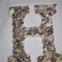 My first DIY monogram letters with seashells.