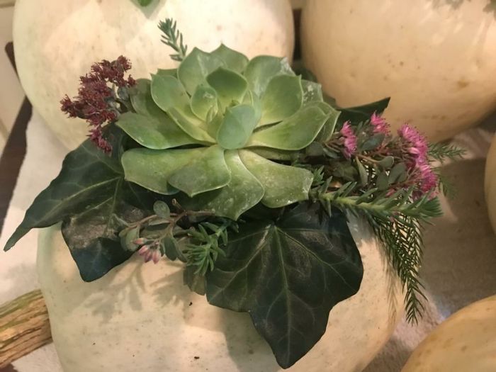 Centerpieces - 2