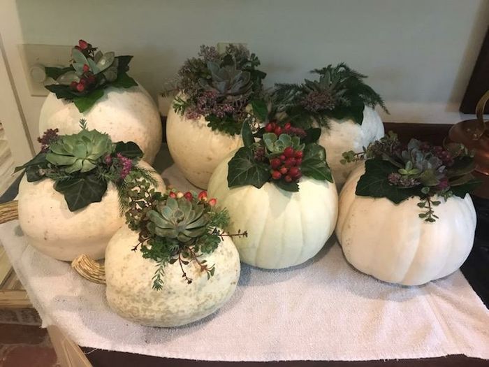 Centerpieces - 3