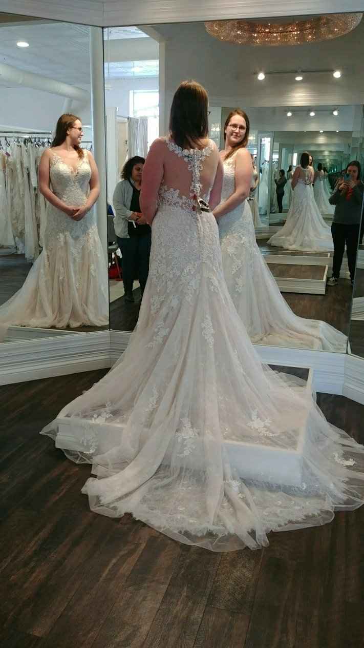 Veil or no veil? - 1