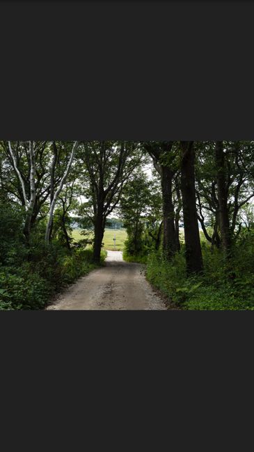 Train or no train....? - 1