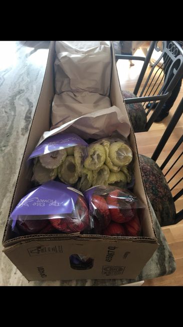 Real or fake flowers?? 1