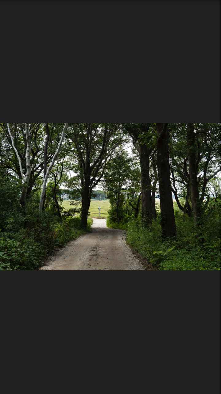 Train or no train....? - 1