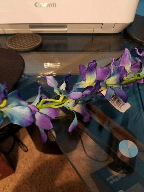 Purple and blue orchids