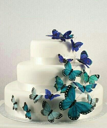 can I see your cake design?