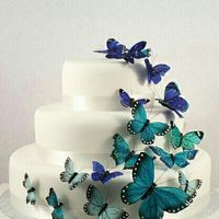 can I see your cake design?