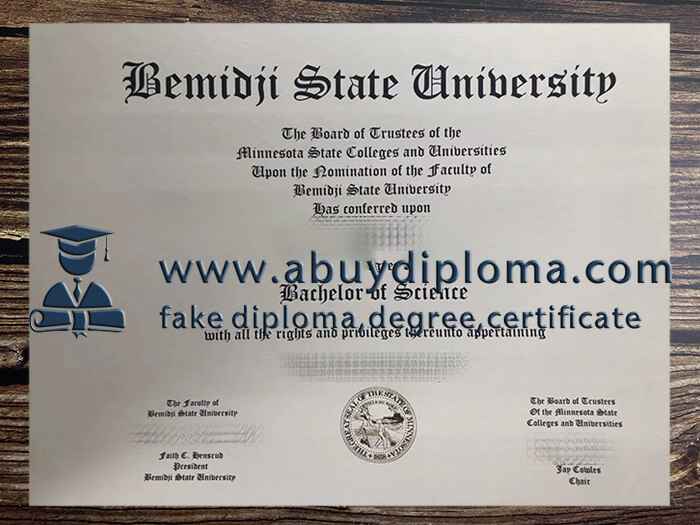How to buy Bemidji State University fake degree? - 1
