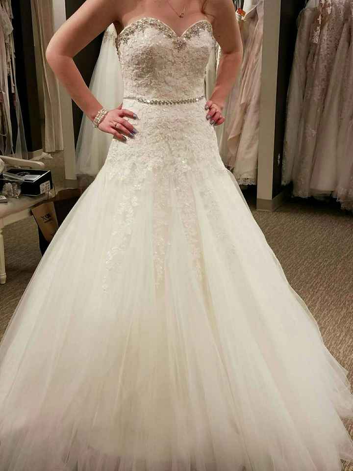 To Belt, or not to Belt?