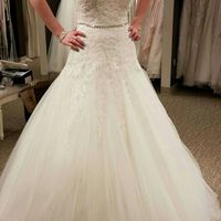 To Belt, or not to Belt?