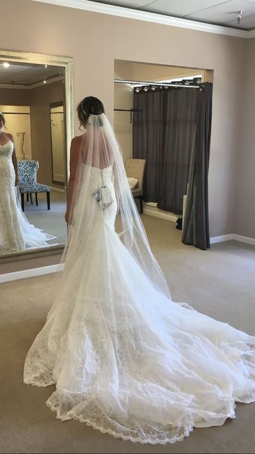My dress is in! - 2