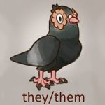 they/them pigeon