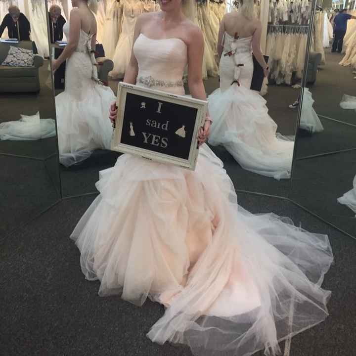 Blush wedding dress with dress pic