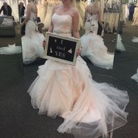 Blush wedding dress with dress pic