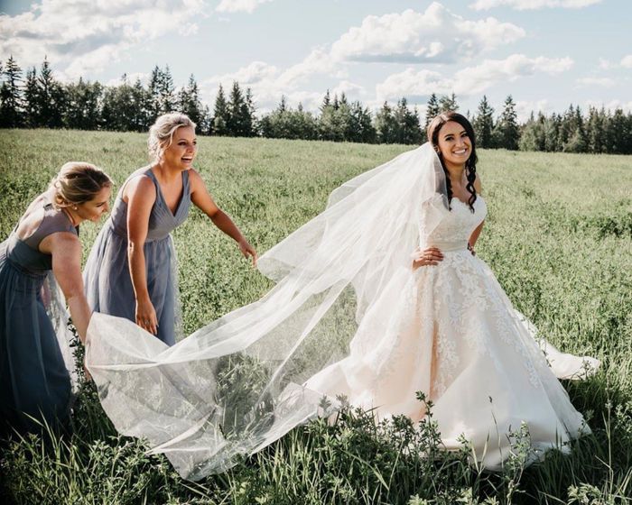 What kind of veil is this? Does this look familiar? Can someone send me a link 1