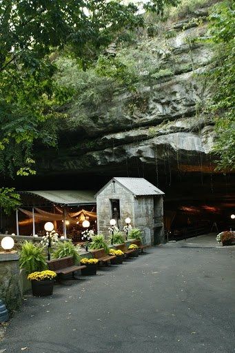 Show me your VENUE!
