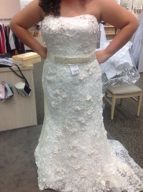 Show off your Mermaid, & Fit-N-Flare  & Trumpet  Dress