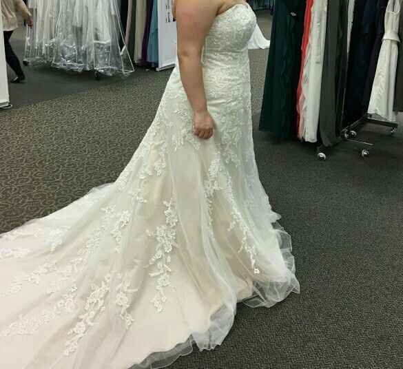 Davids Bridal Dresses!