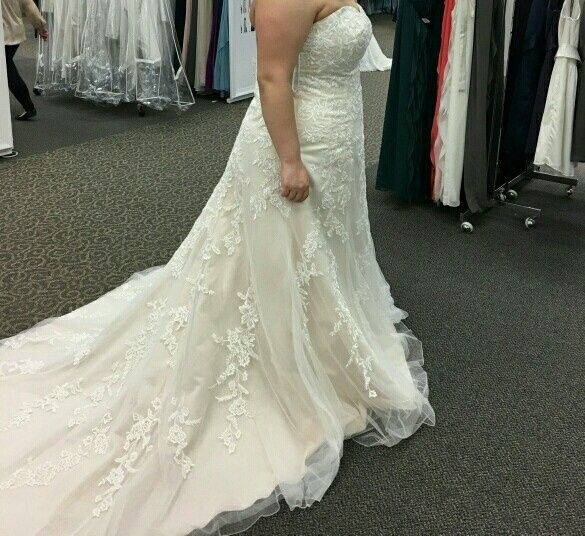 Davids Bridal Dresses!