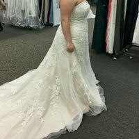 Davids Bridal Dresses!