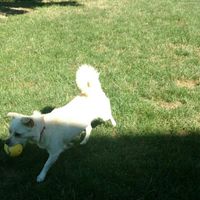 NWR: Saying Goodbye to My Kitty