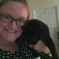 NWR: Tomorrow is National Cat Day!