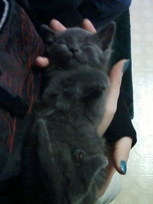 NWR - Furry babies