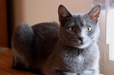NWR - Furry babies