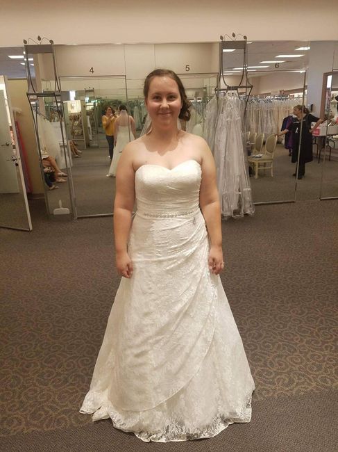 Wedding dress undergarments