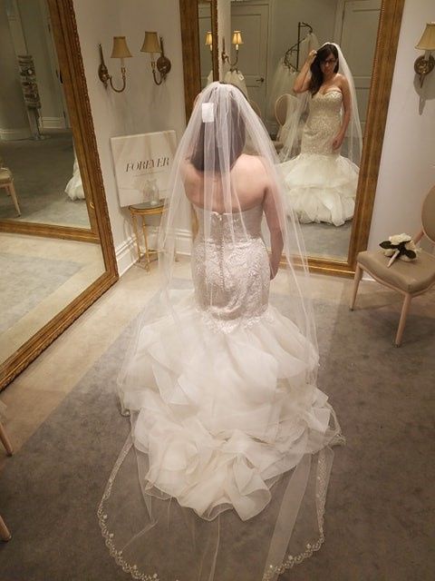 Back of Dress