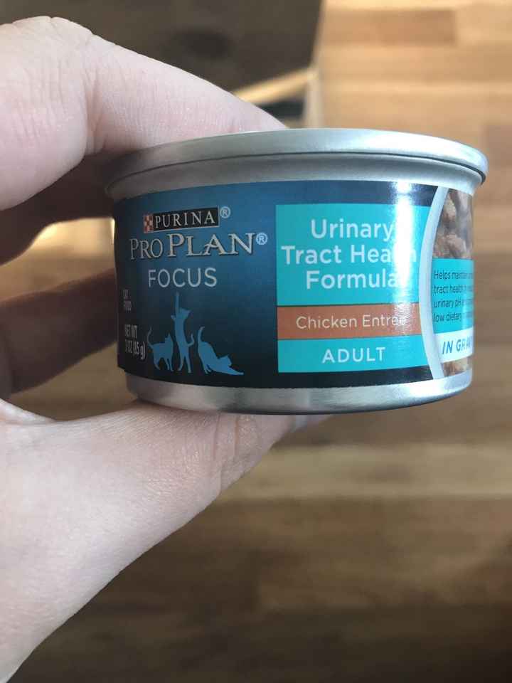 Cat Food Help