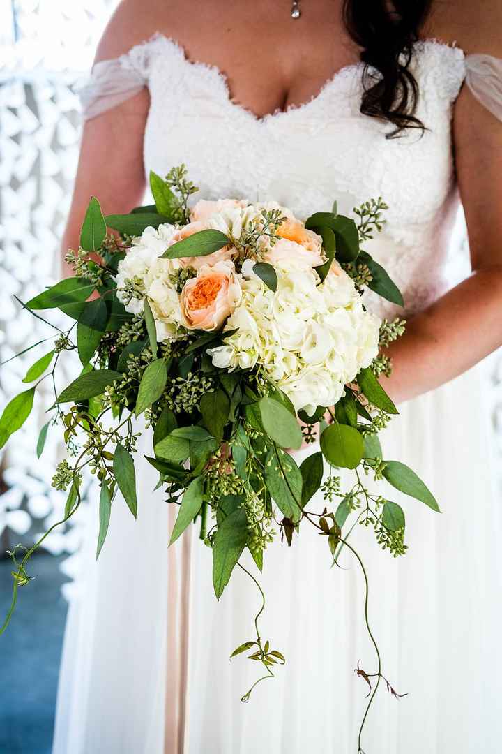 Teal BAM (pro pic heavy)