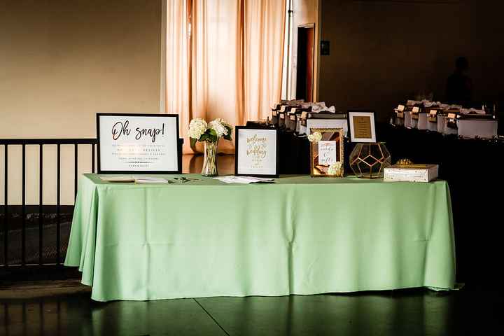 Teal BAM (pro pic heavy)